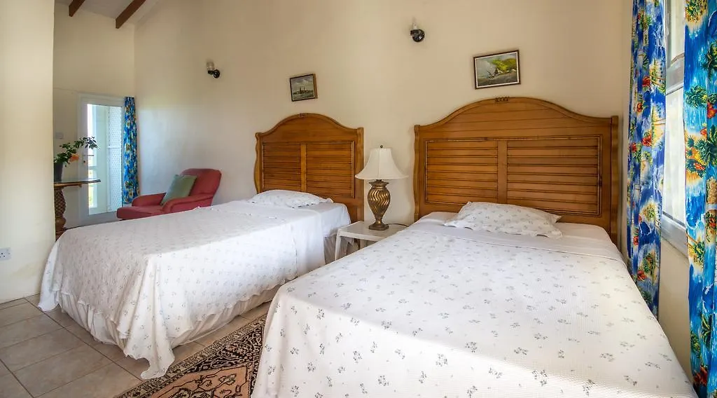 Affittacamere Hotel Culture House Basseterre