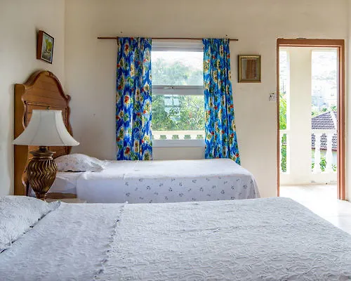 Affittacamere Hotel Culture House Basseterre
