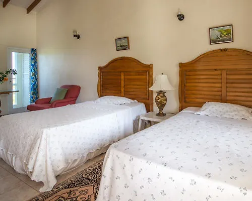 Culture House Hotel Basseterre 2*,